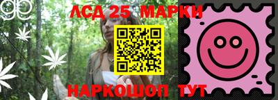 индика Чебаркуль