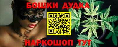 индика Чебаркуль