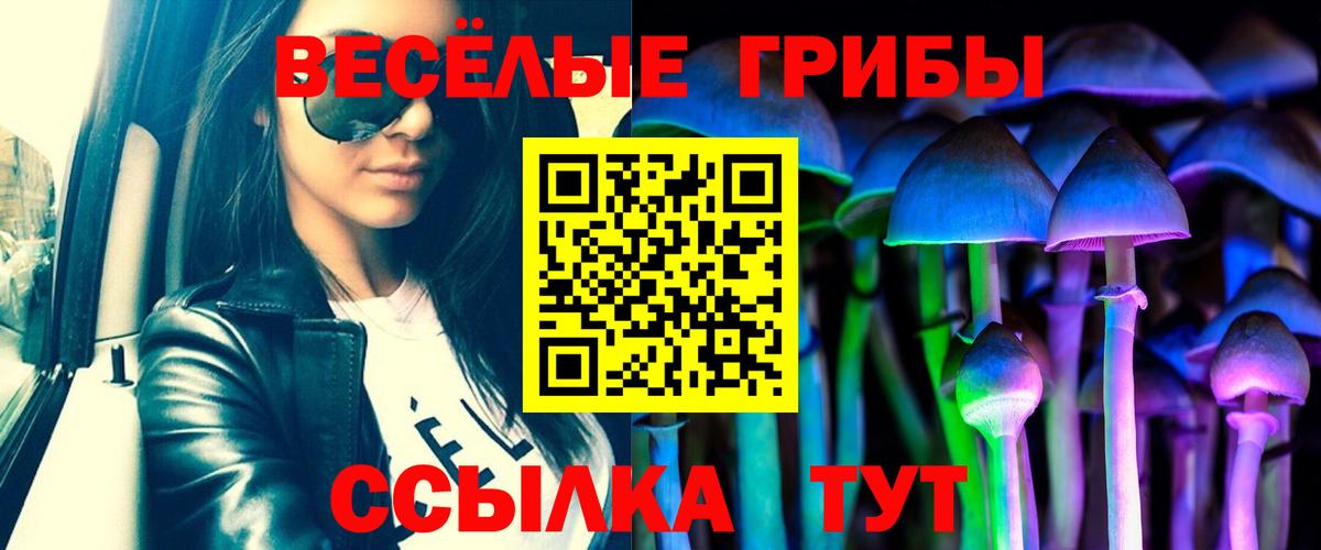 Псилоцибиновые грибы Psilocybe Белая Калитва